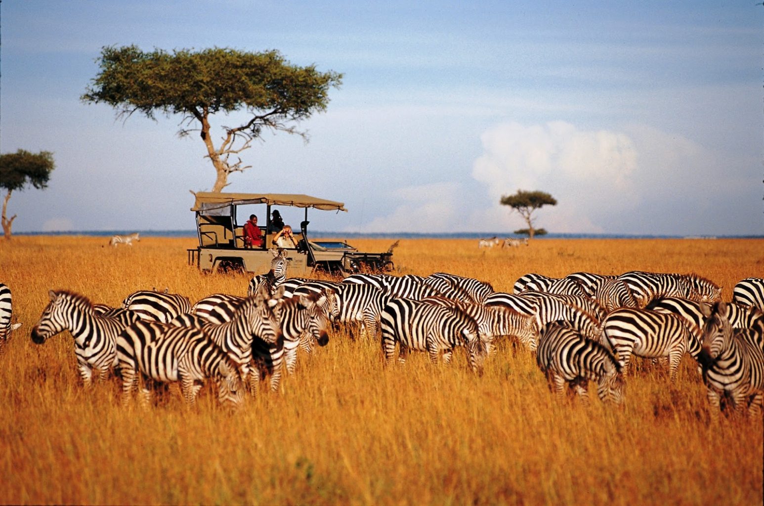 Masai Mara safari